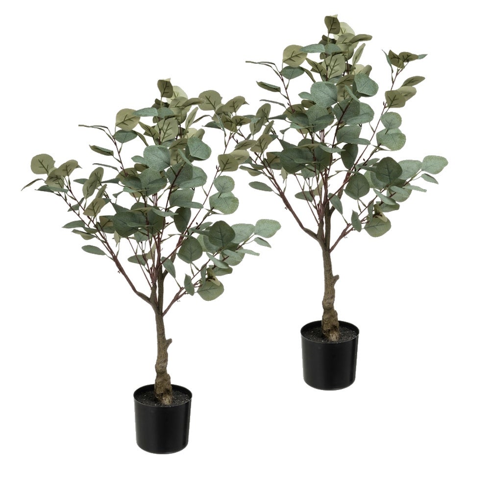 Set de 2 plantas de eucalipto verdes con maceta de plástico de 60x60x80 cm