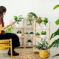 Estantería de madera de 100 cm